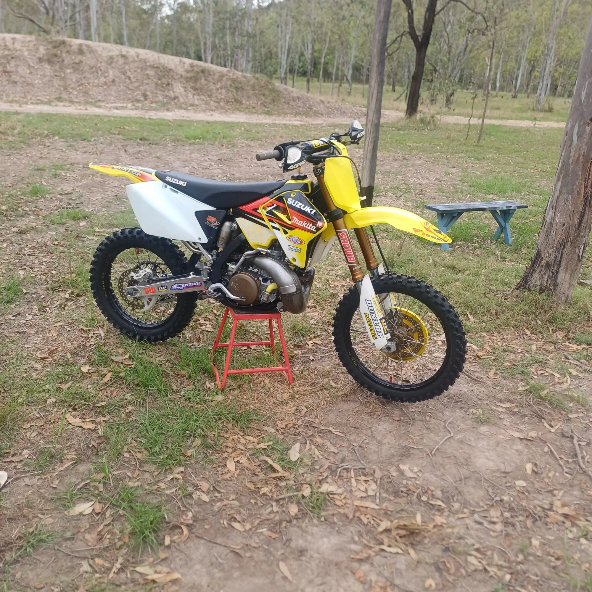 2008 Suzuki RM250 — photo 1 of 8