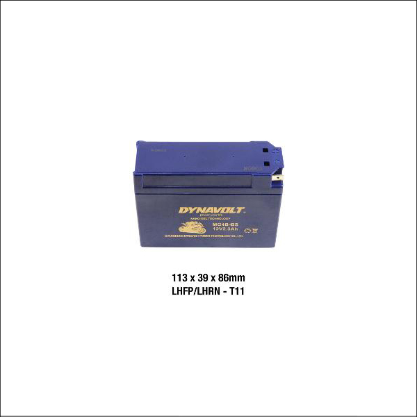 Dynavolt Gel Series MG4B-BS
