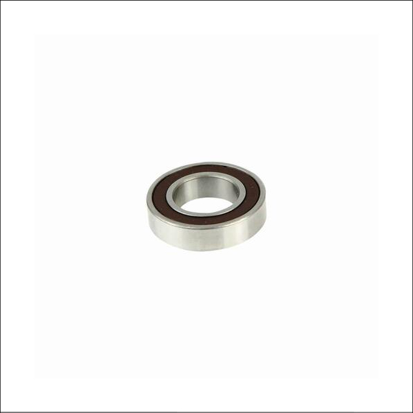 Bearing 6904